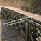 単一の車線の解決の完全なハイウェーのローディングの機能を繋ぐ鋼鉄トラス橋のデルタ サプライヤー